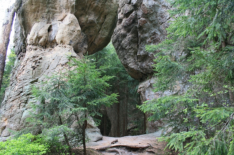 Original image
